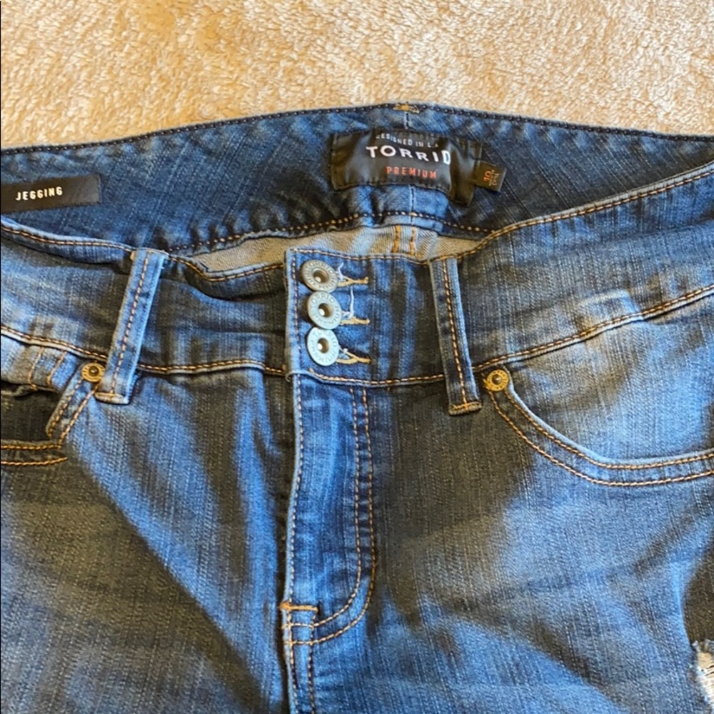 Torrid Jeggings